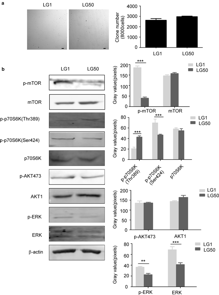 Fig. 7