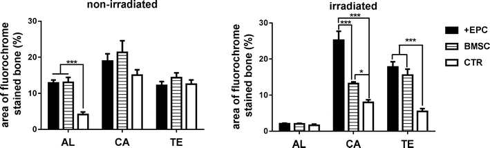 Fig. 9