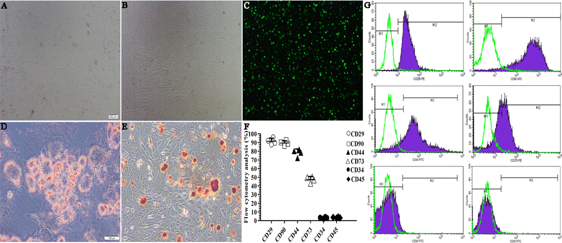 Fig. 3