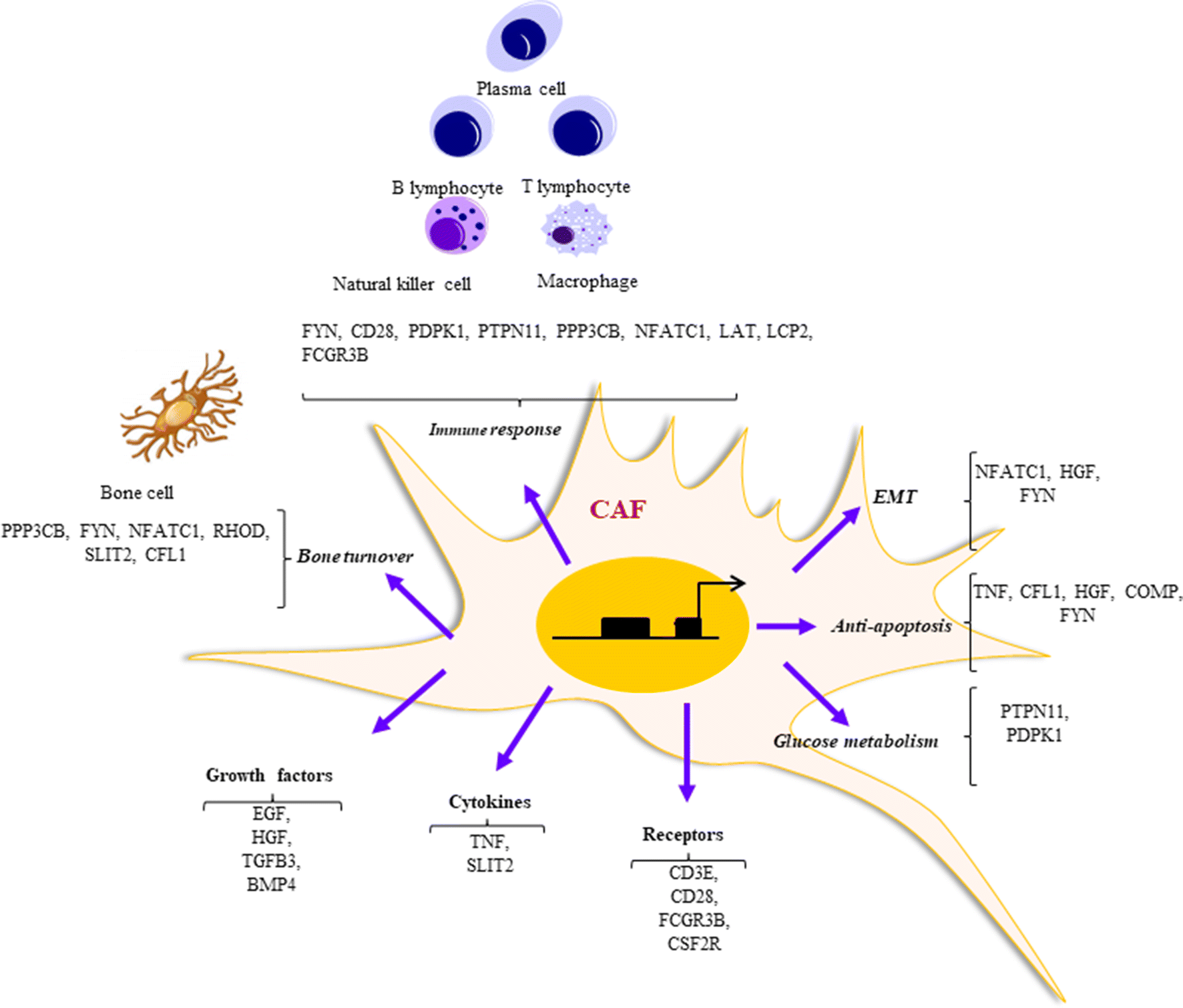 Fig. 9