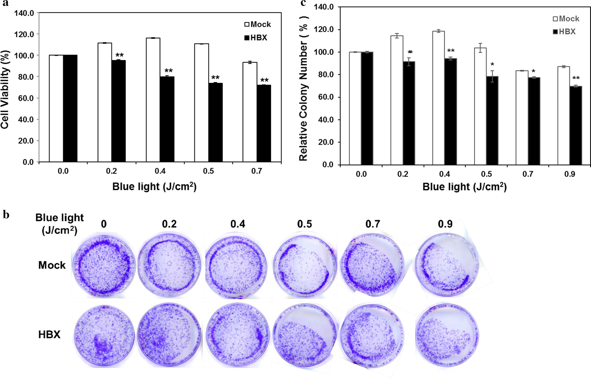 Fig. 6