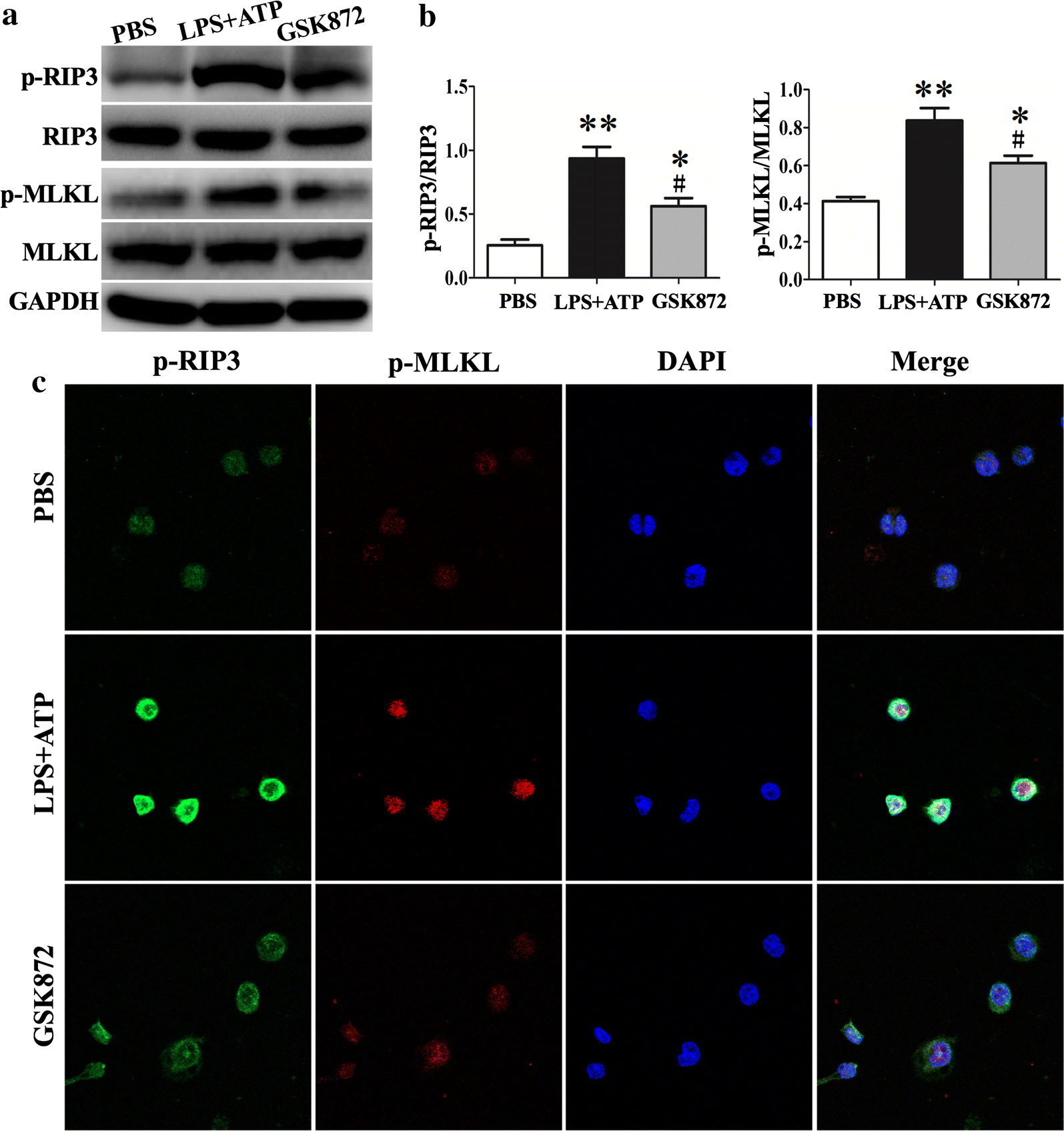 Fig. 4