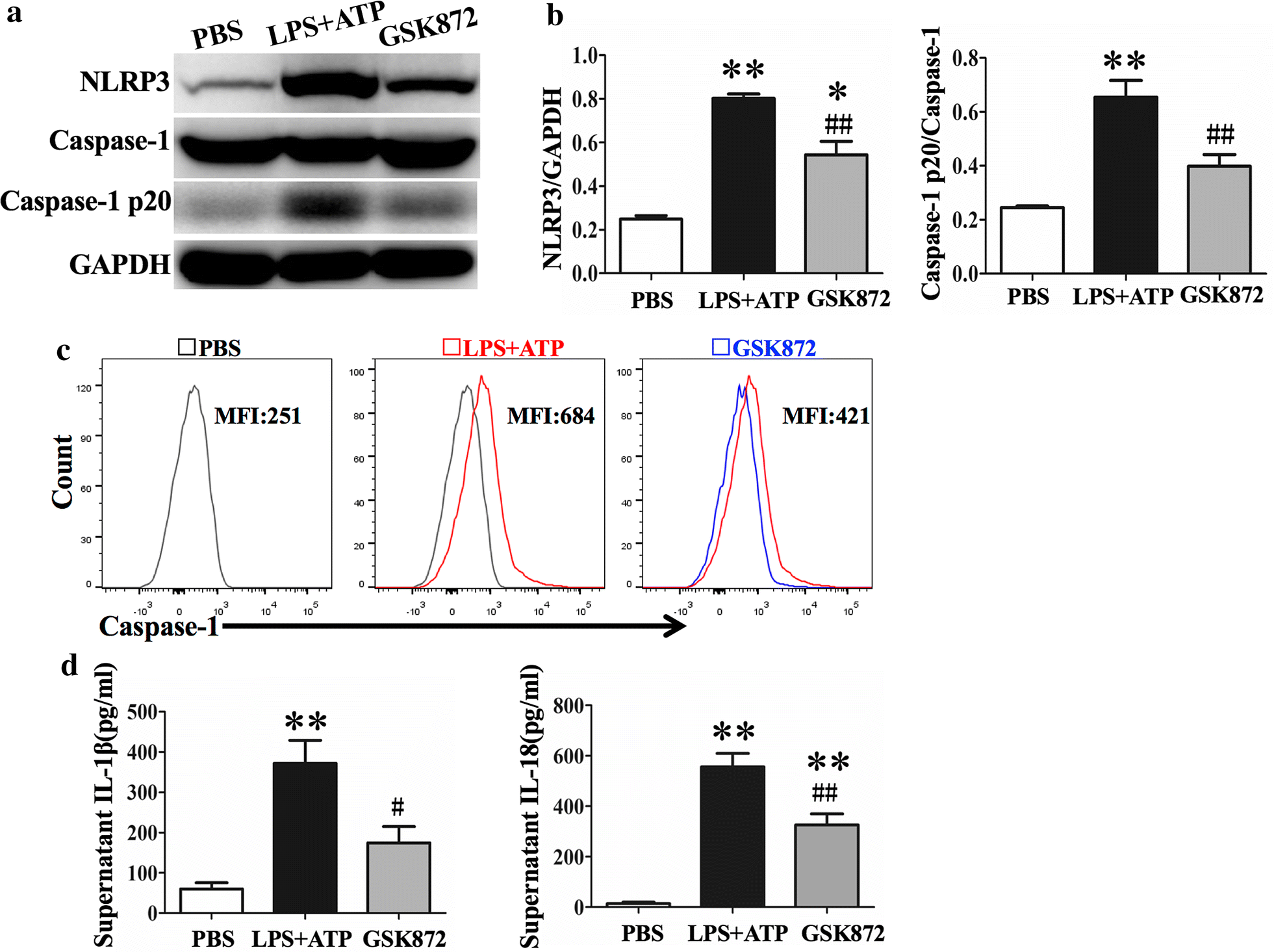 Fig. 5