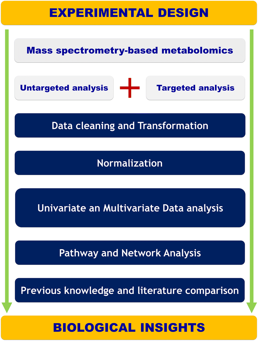unveiling metabolic remodeling in mucopolysaccharidosis type iii