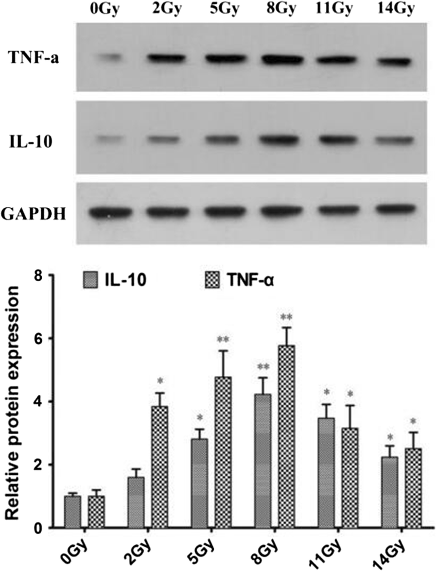 Fig. 6