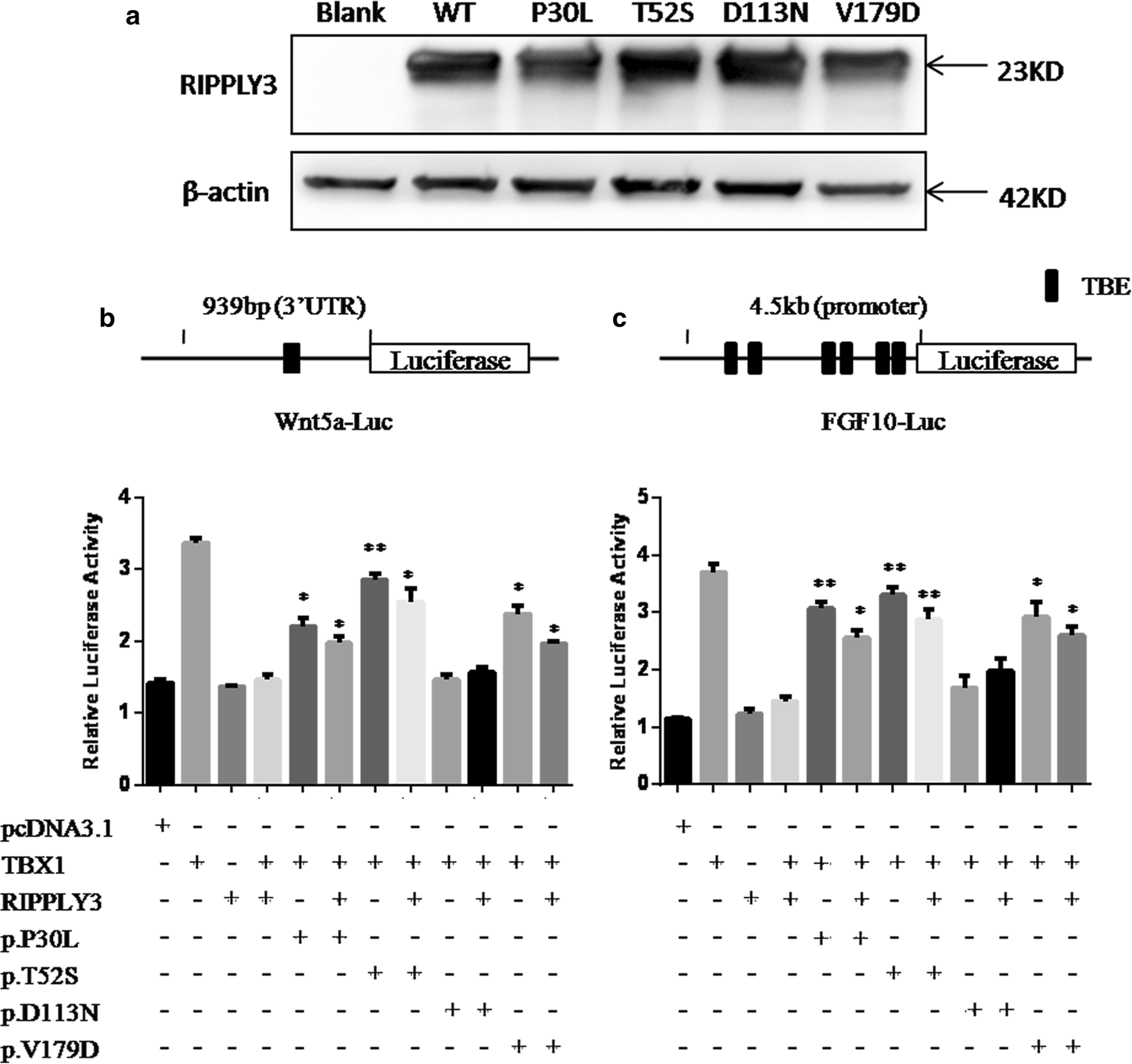 Fig. 3