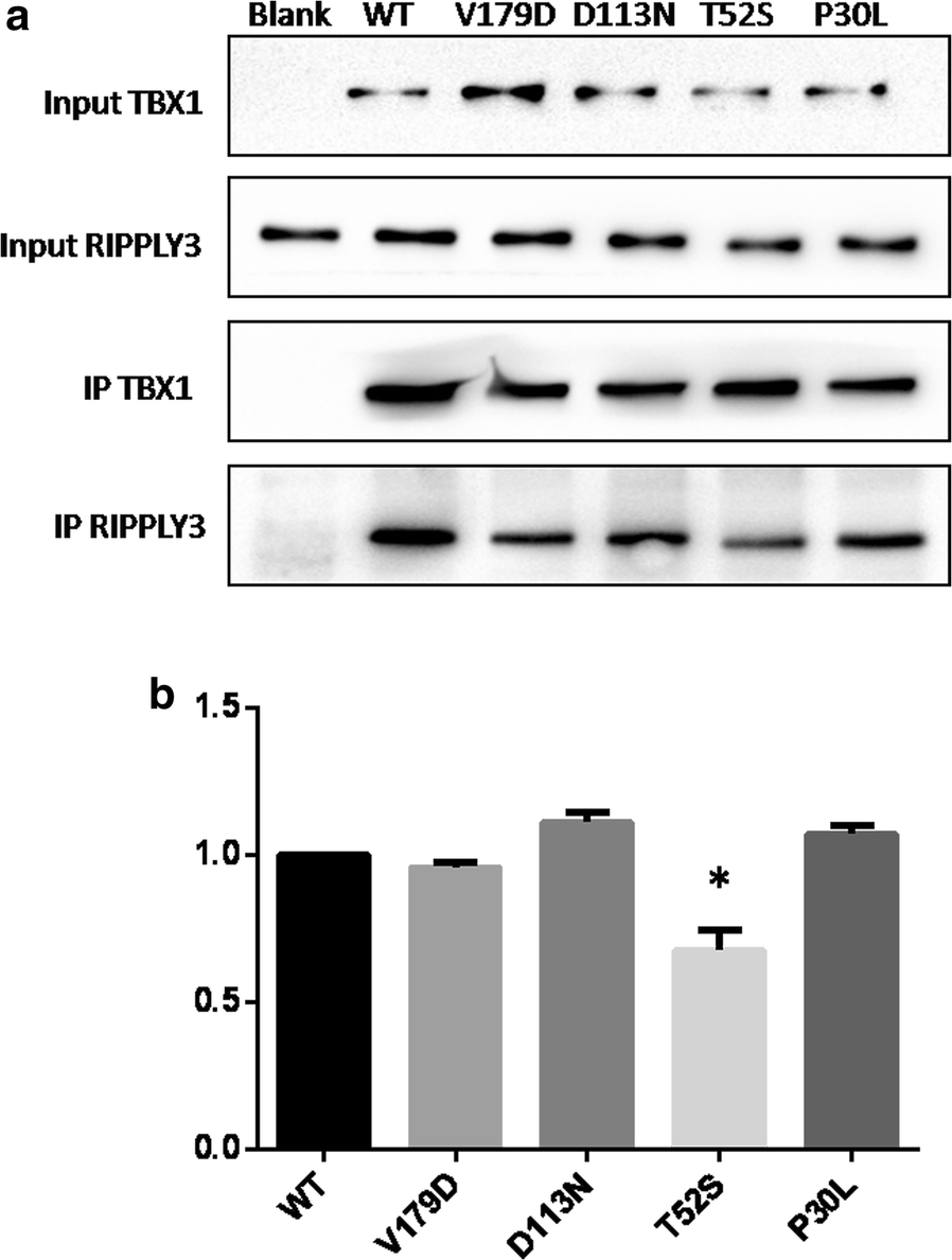 Fig. 4