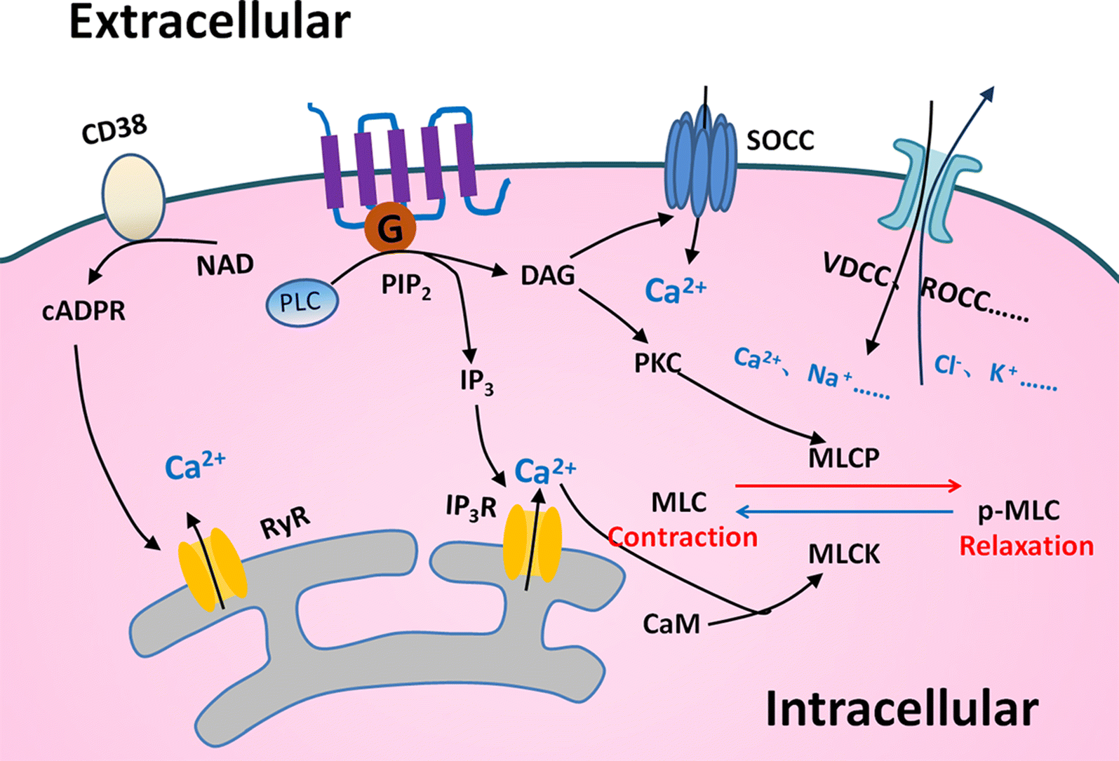 Fig. 2