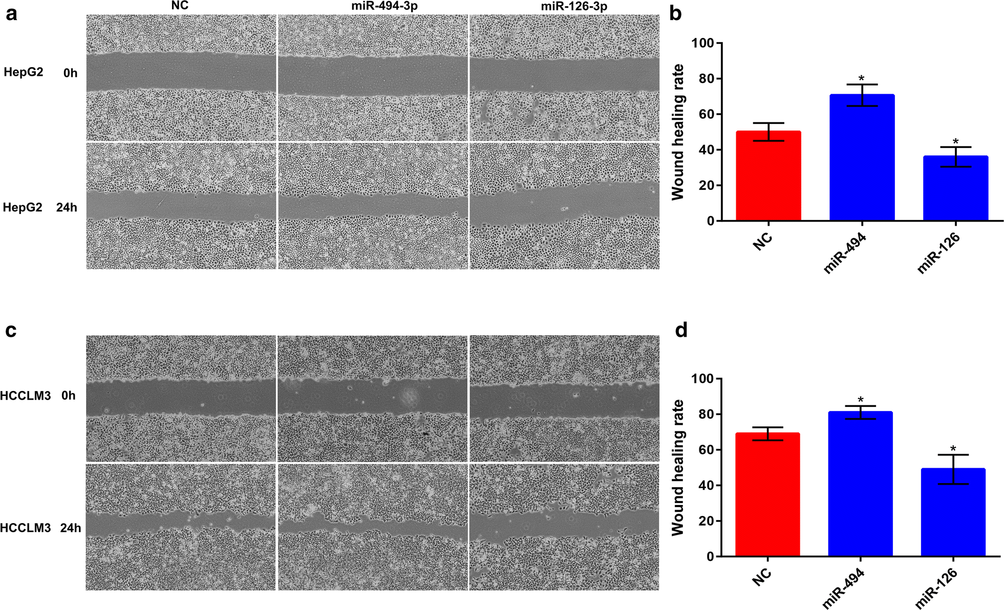 Fig. 8