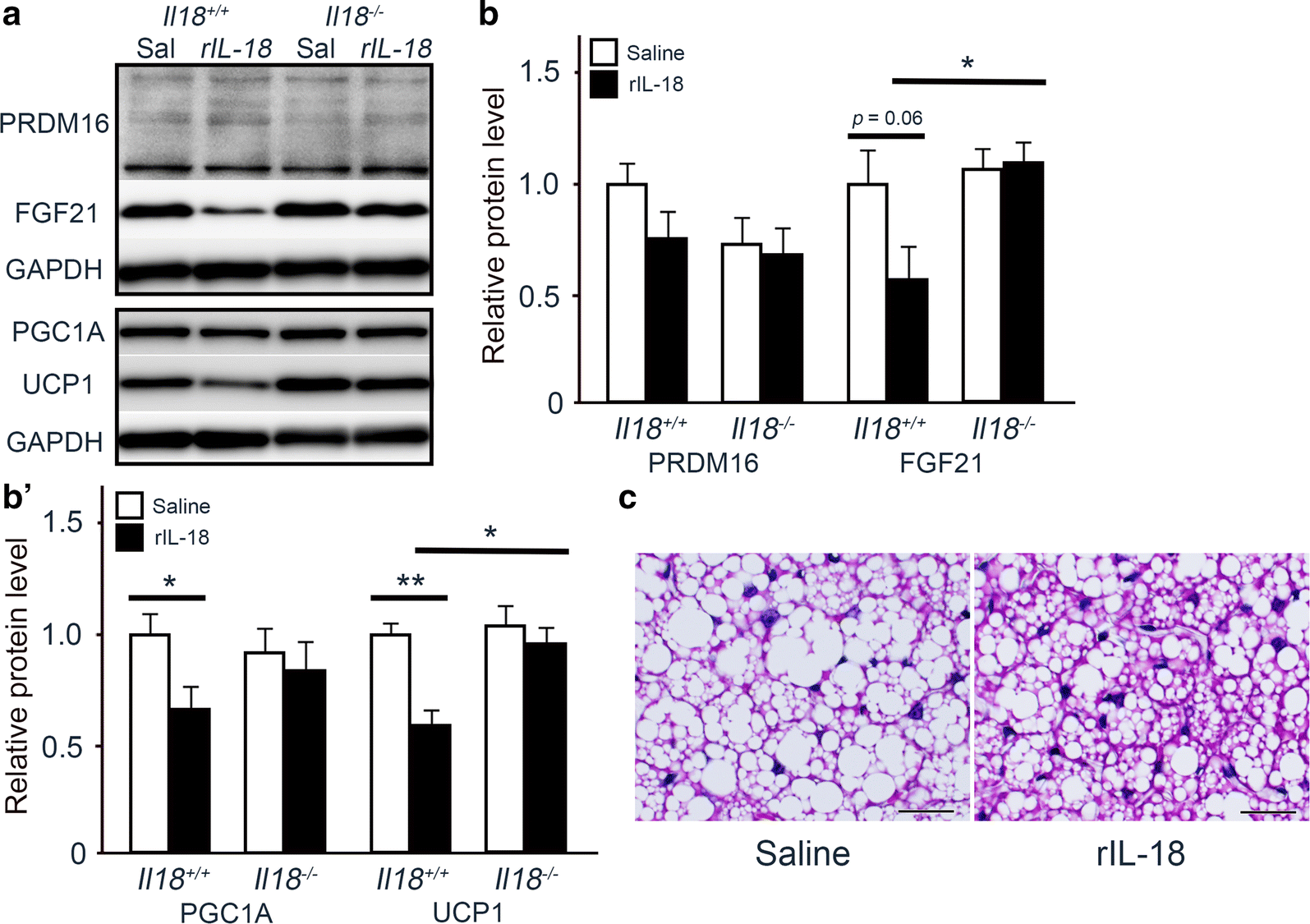 Fig. 5