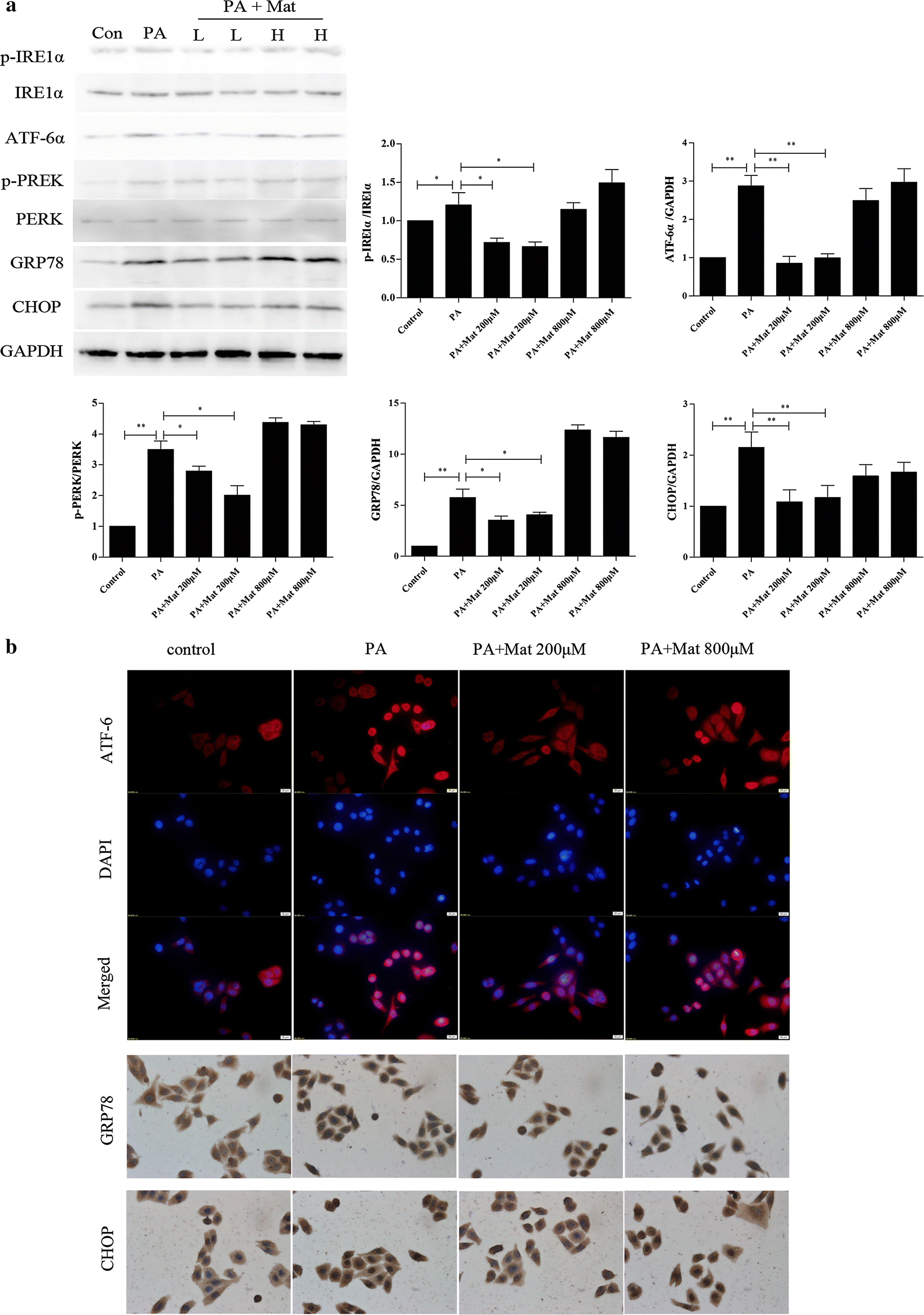 Fig. 4