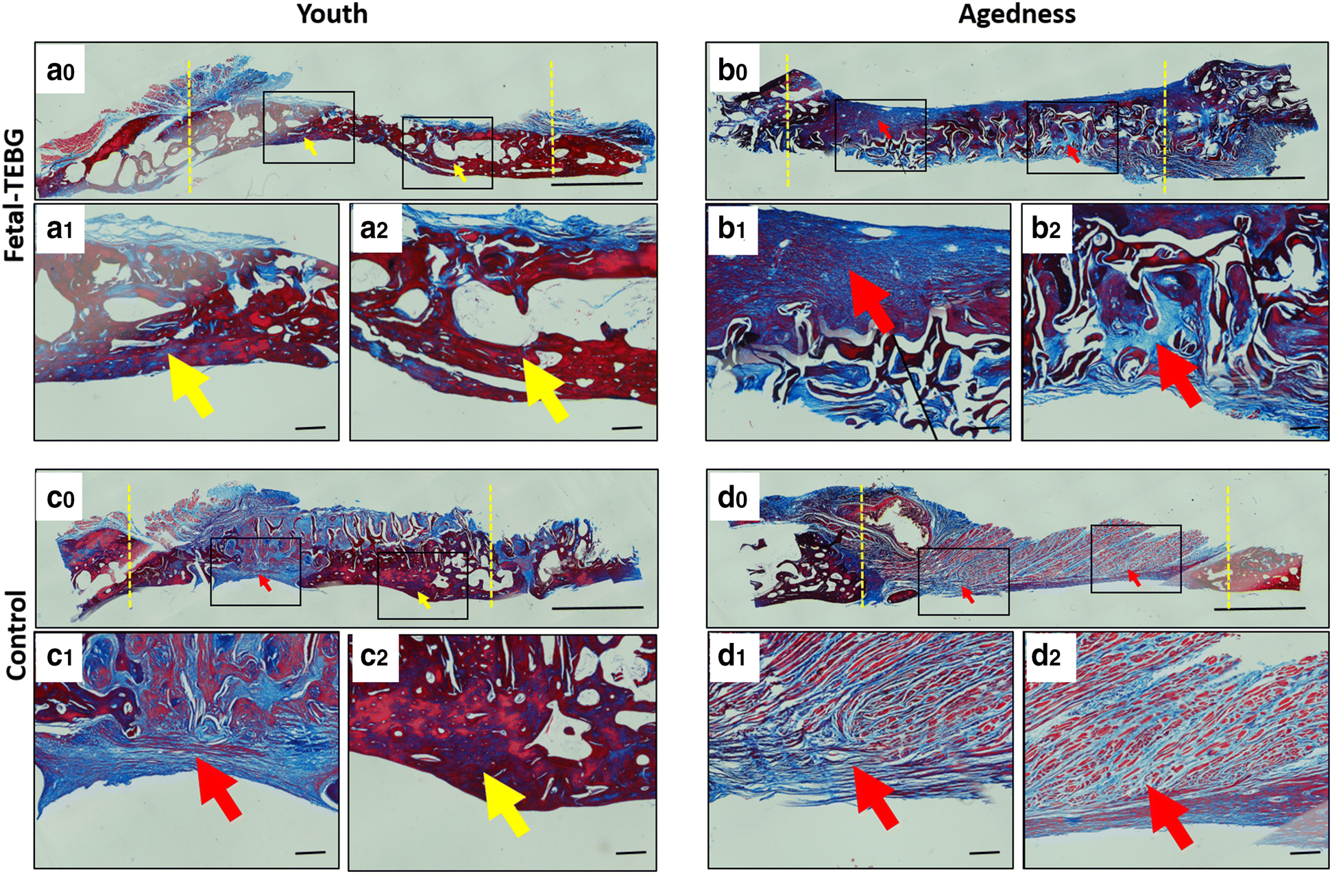 Fig. 7