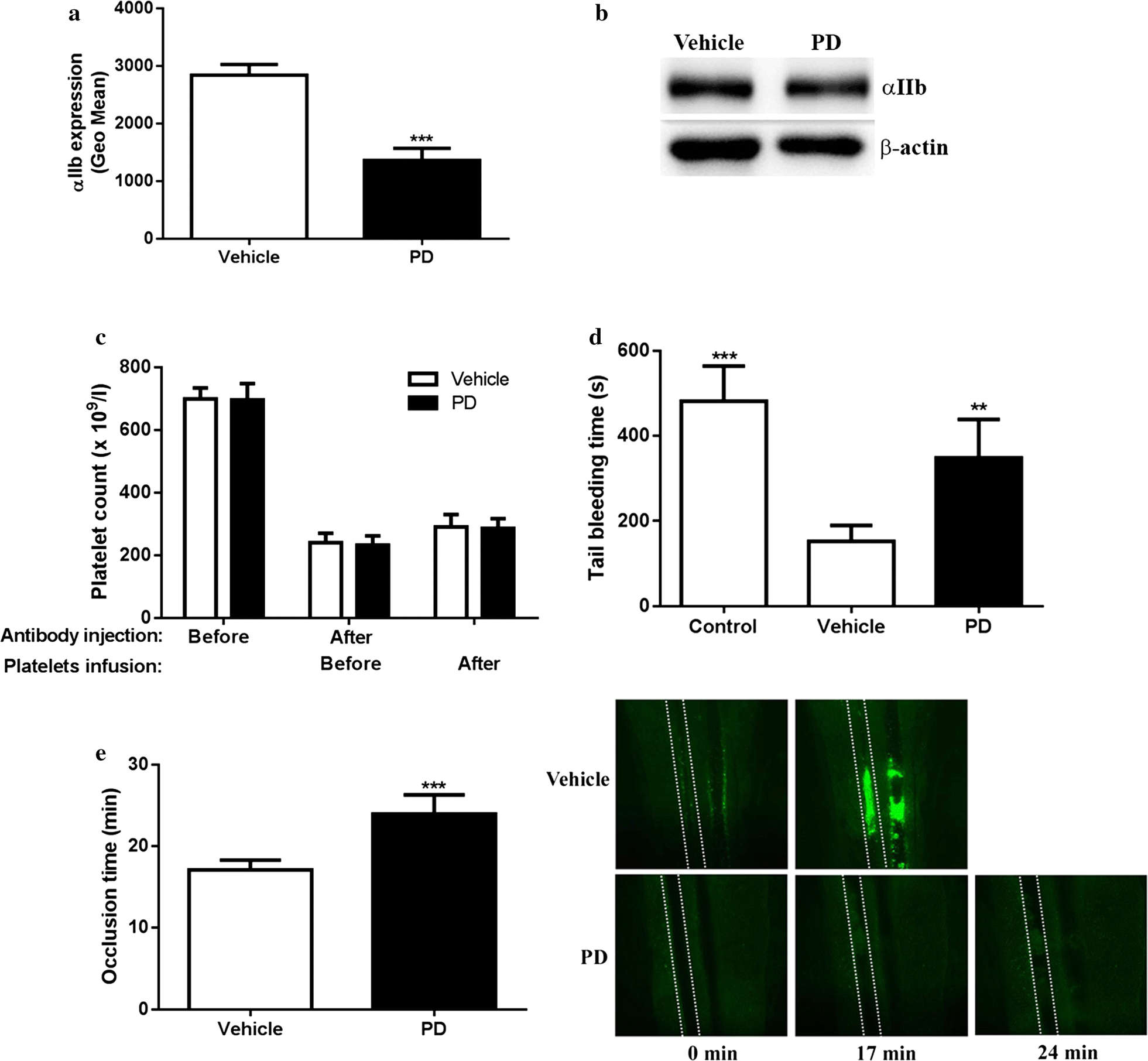 Fig. 5