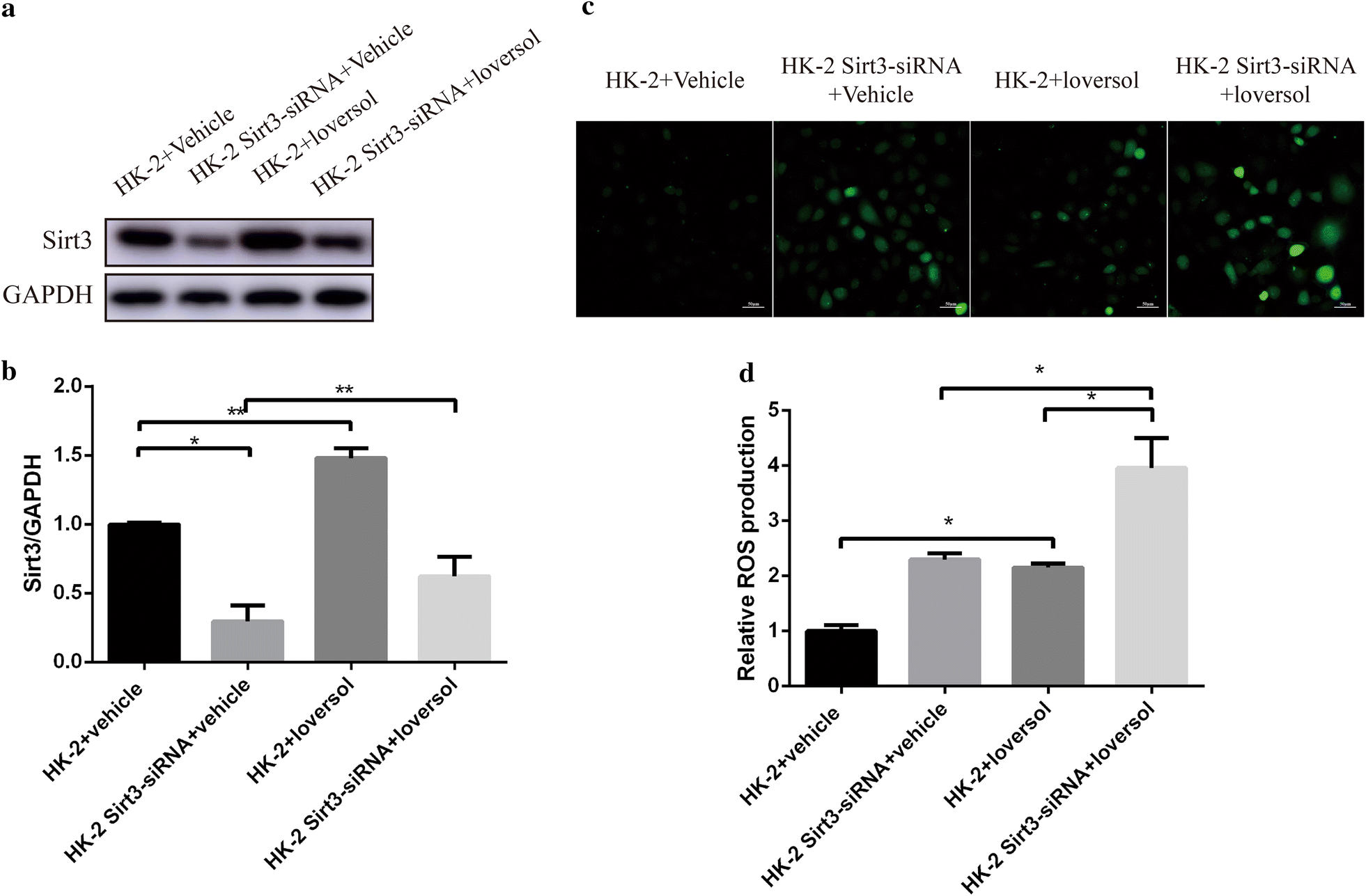 Fig. 4