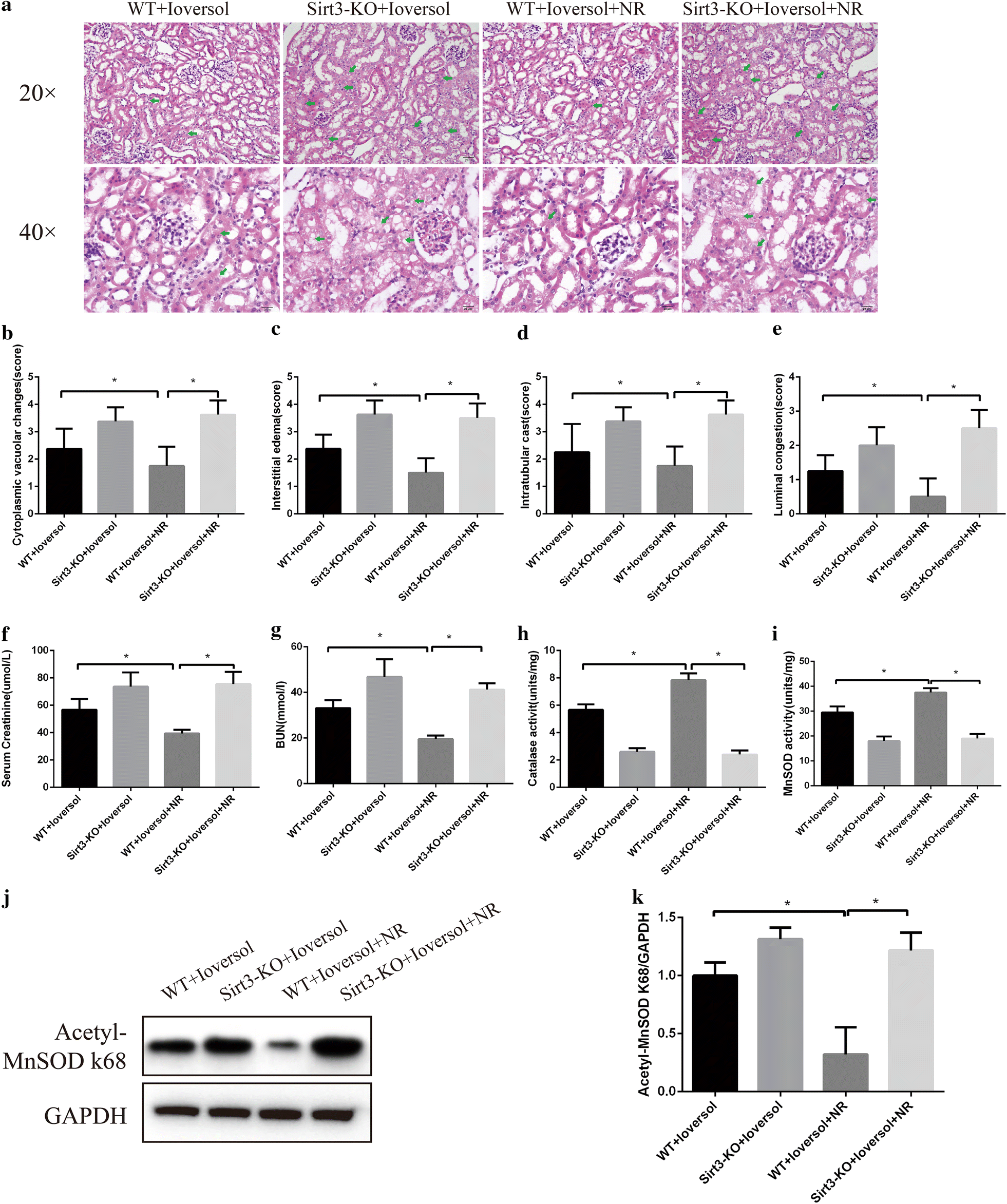 Fig. 7