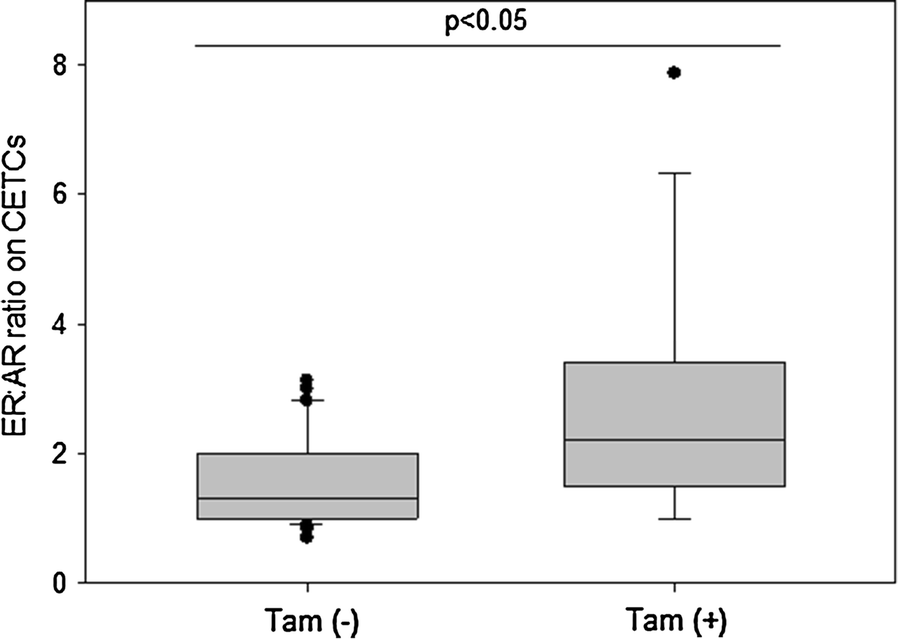 Fig. 6