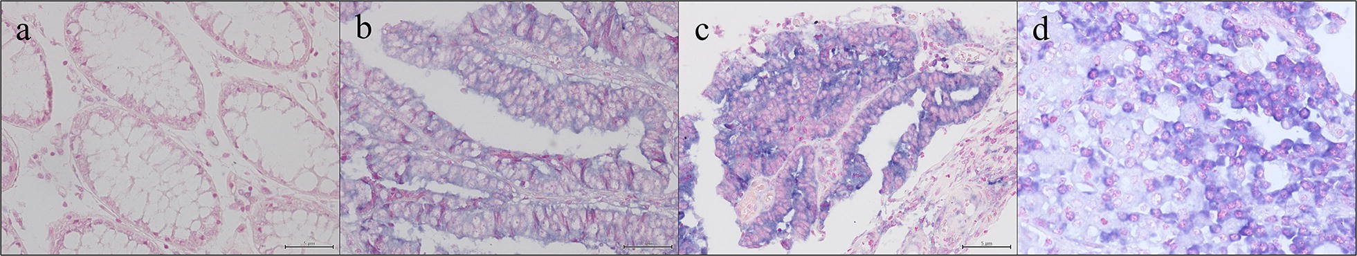 Fig. 2