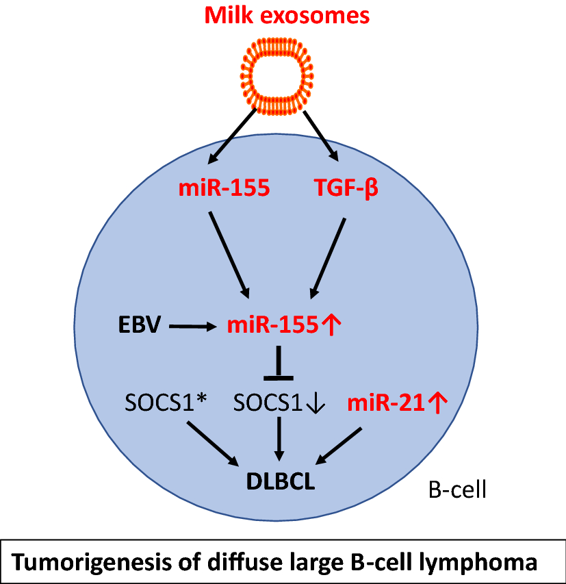 Fig. 14