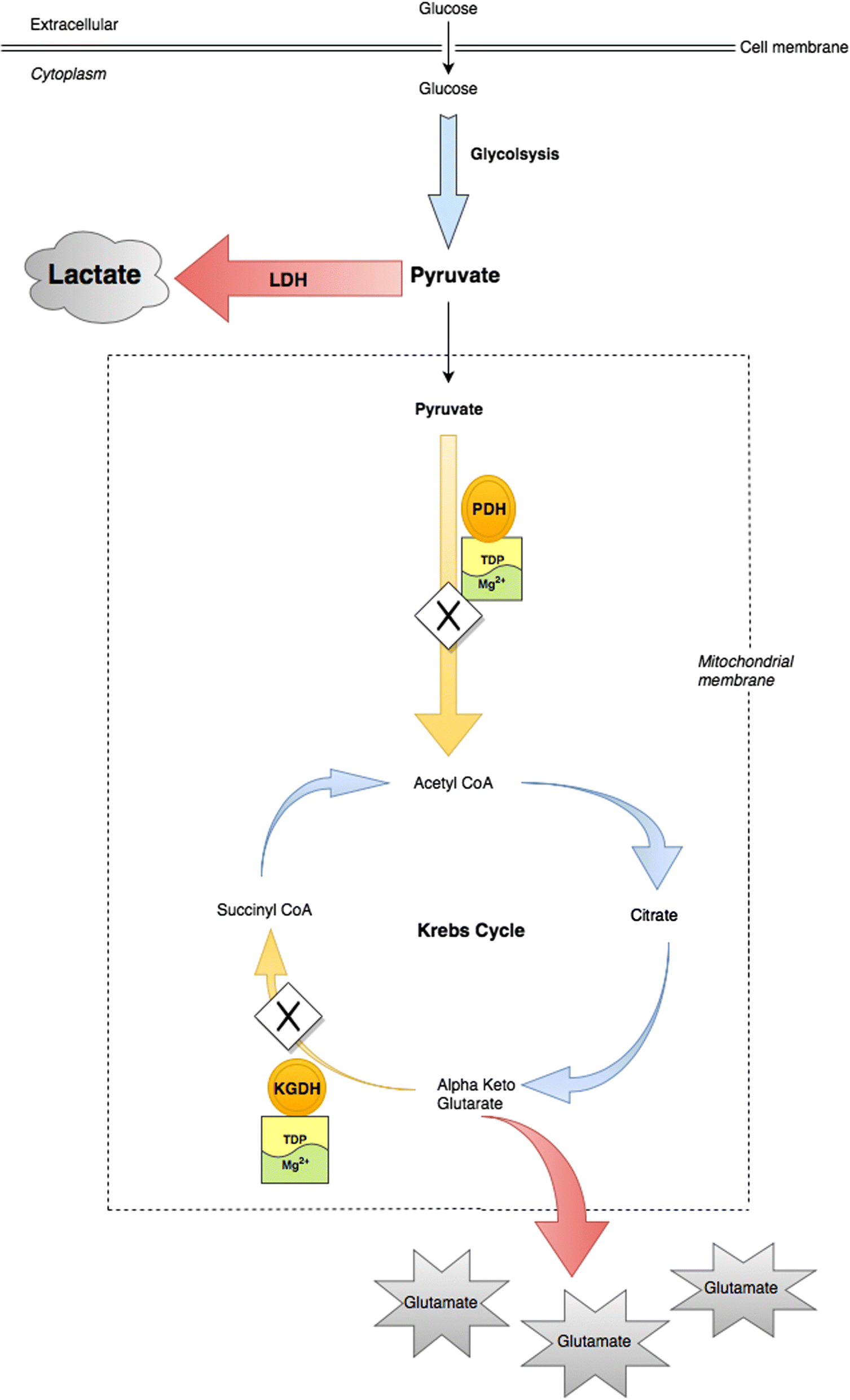 Fig. 2