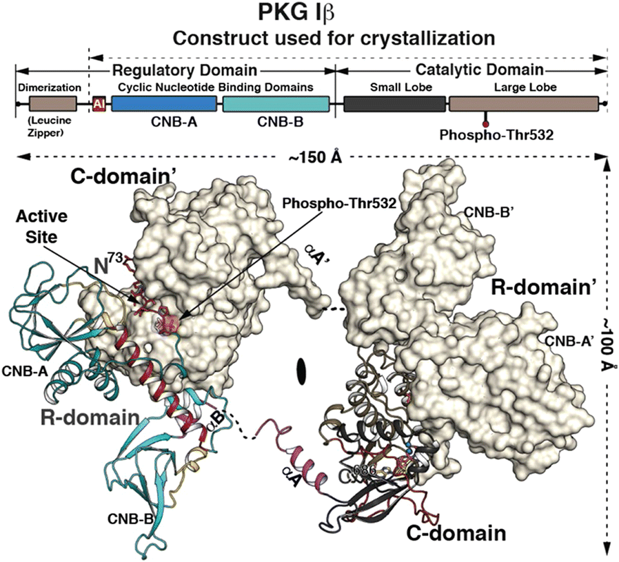 Fig. 1