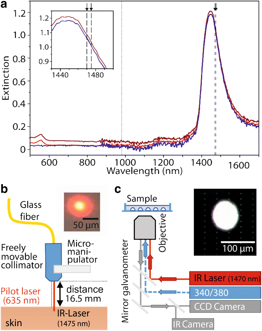 Fig. 1