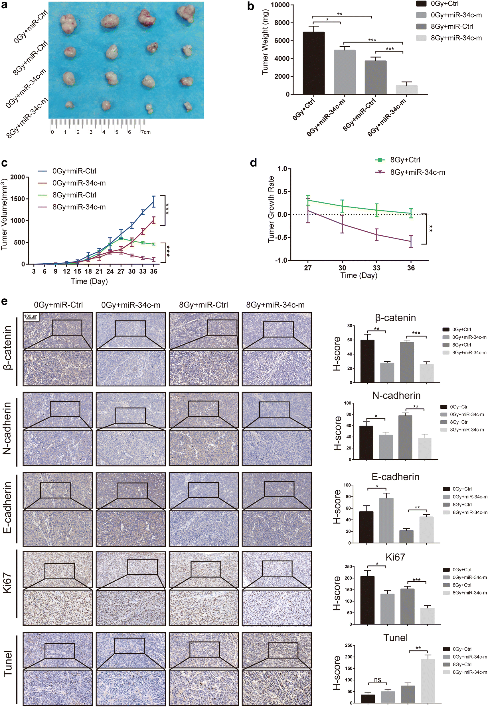 Fig. 5