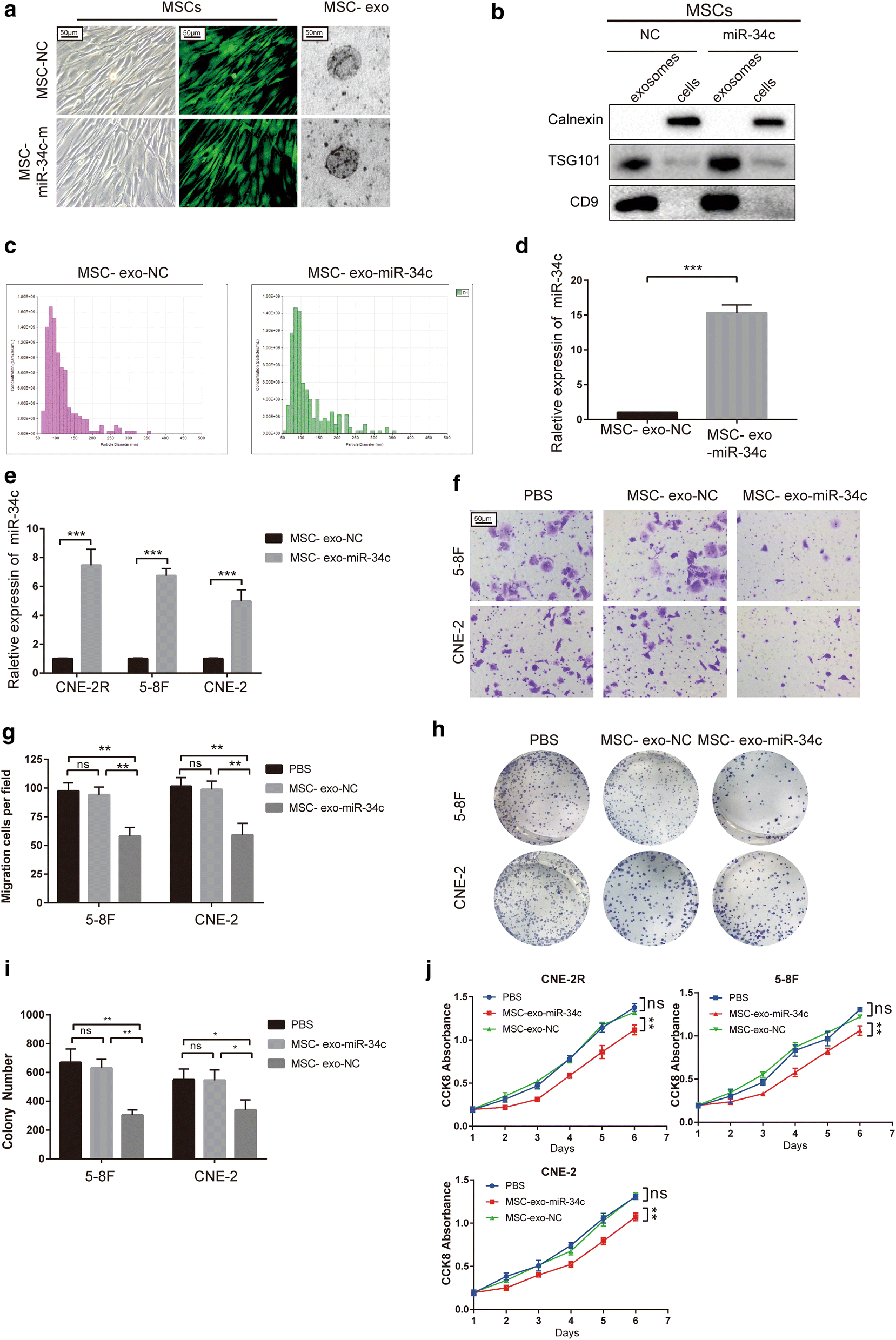 Fig. 7