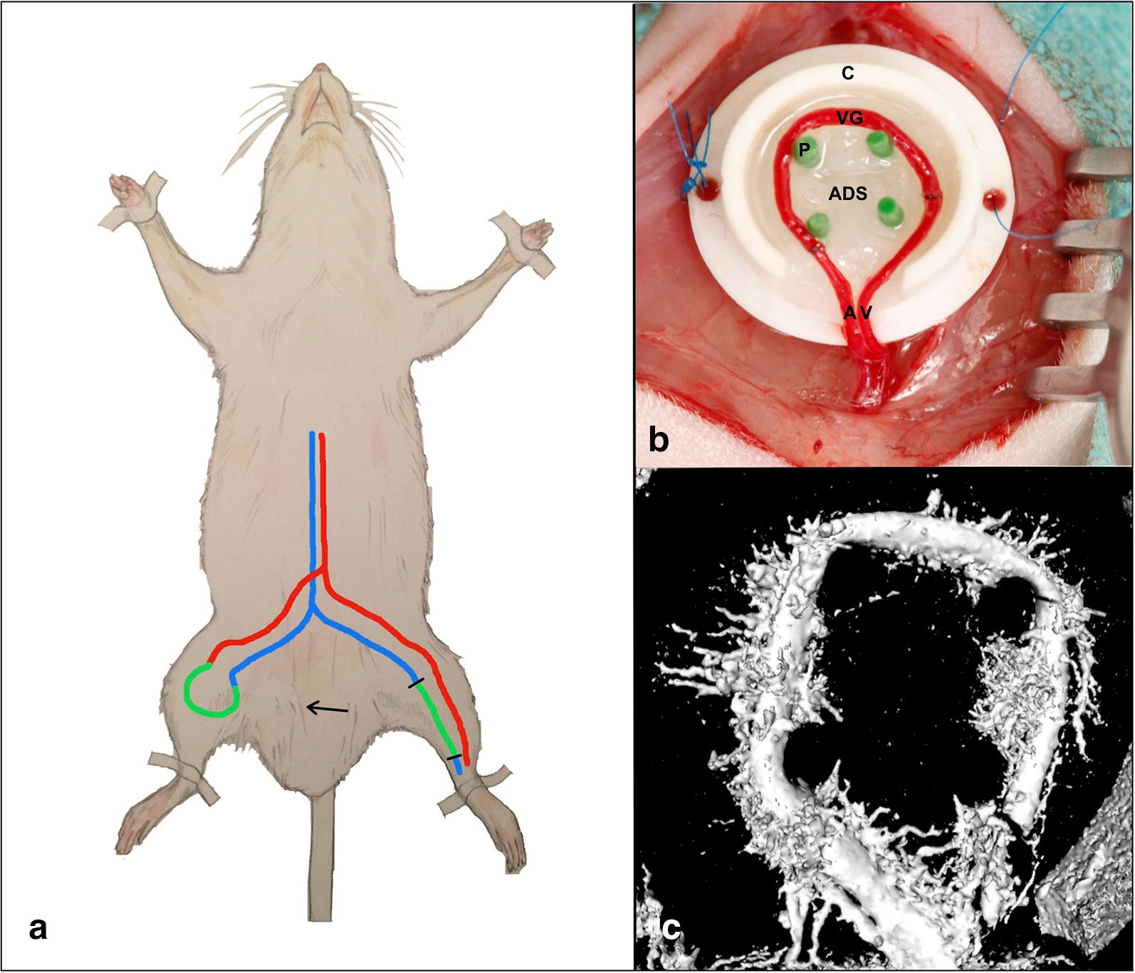 Fig. 1