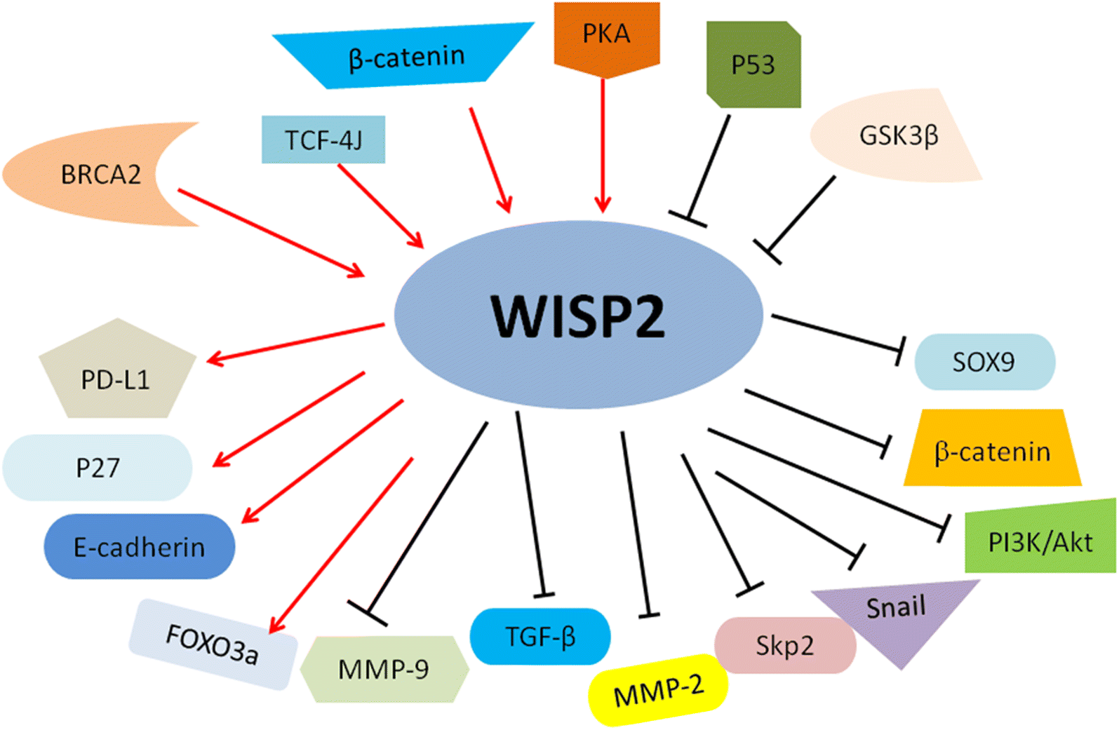 Fig. 3