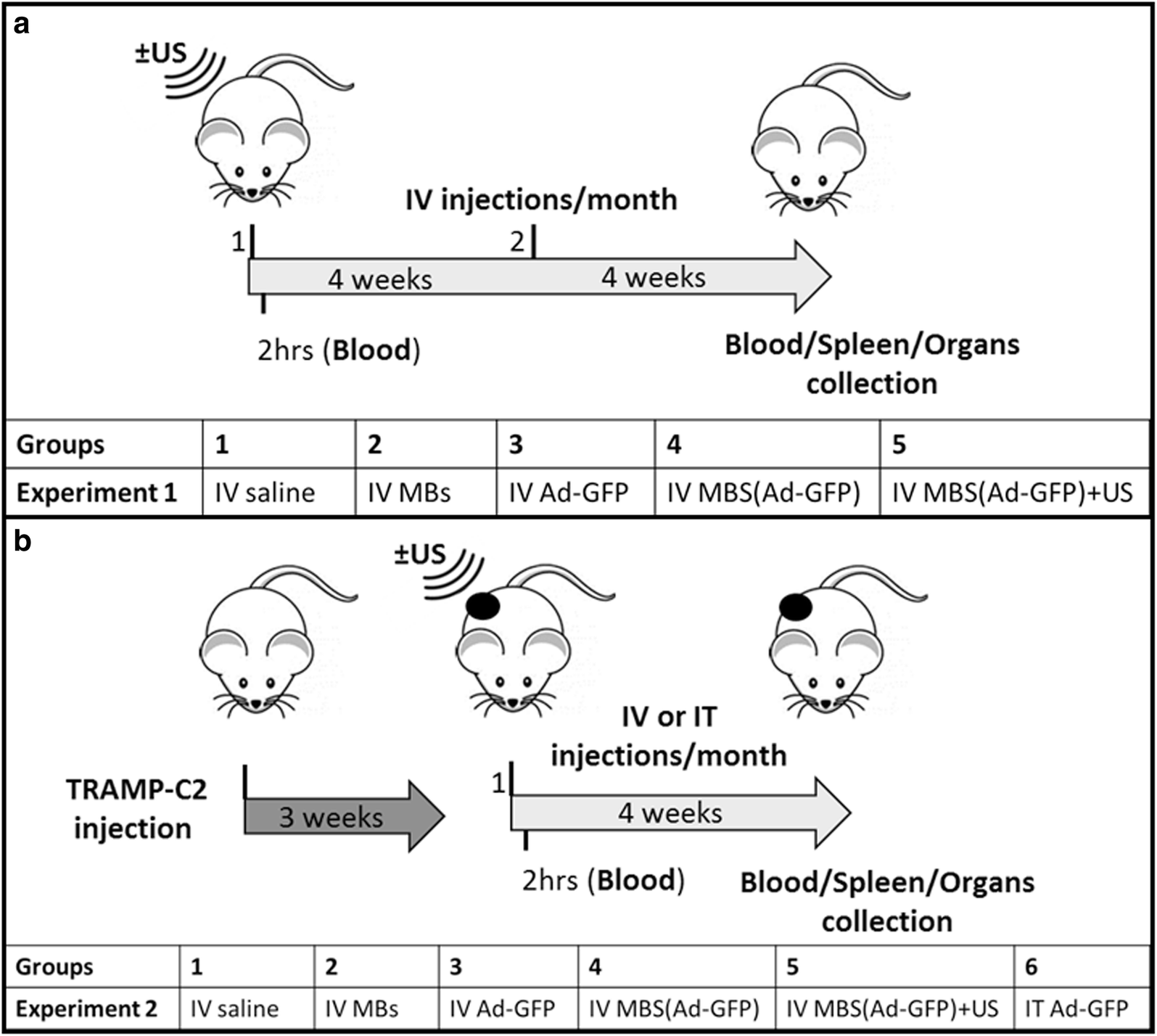 Fig. 4