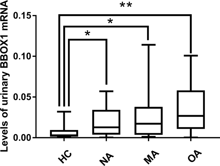 Fig. 6