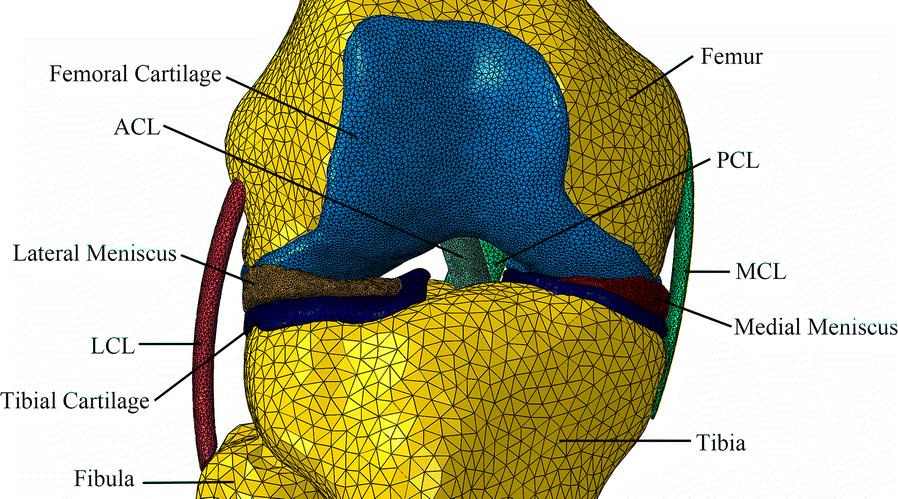 Fig. 1