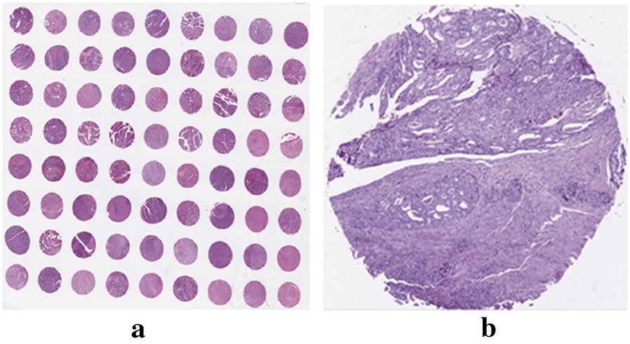 Fig. 2