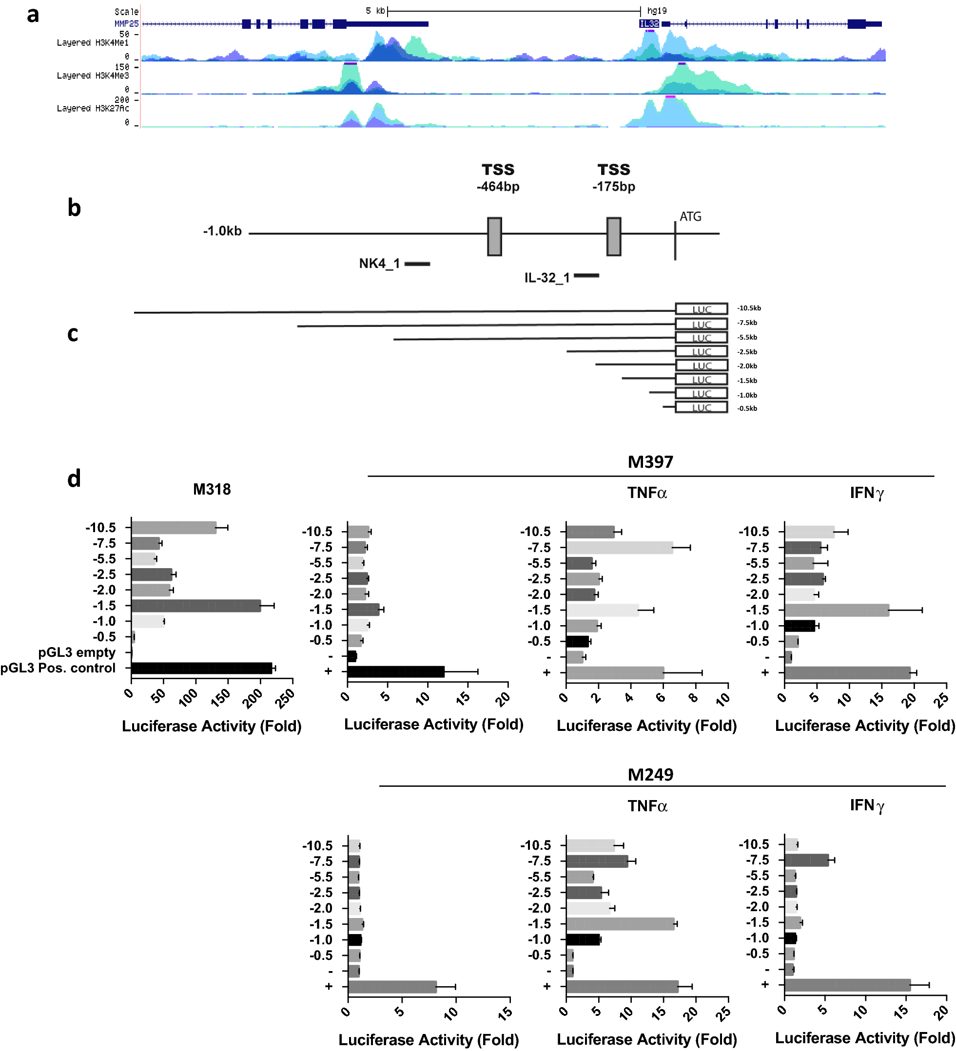 Fig. 4