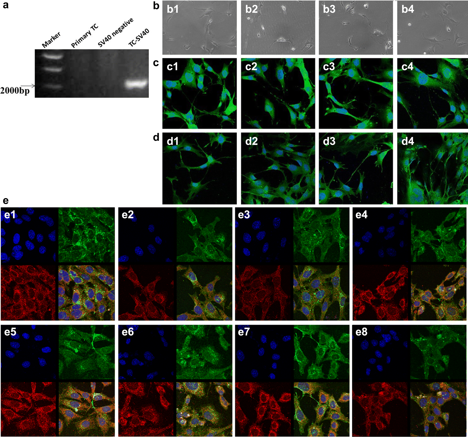 Fig. 2