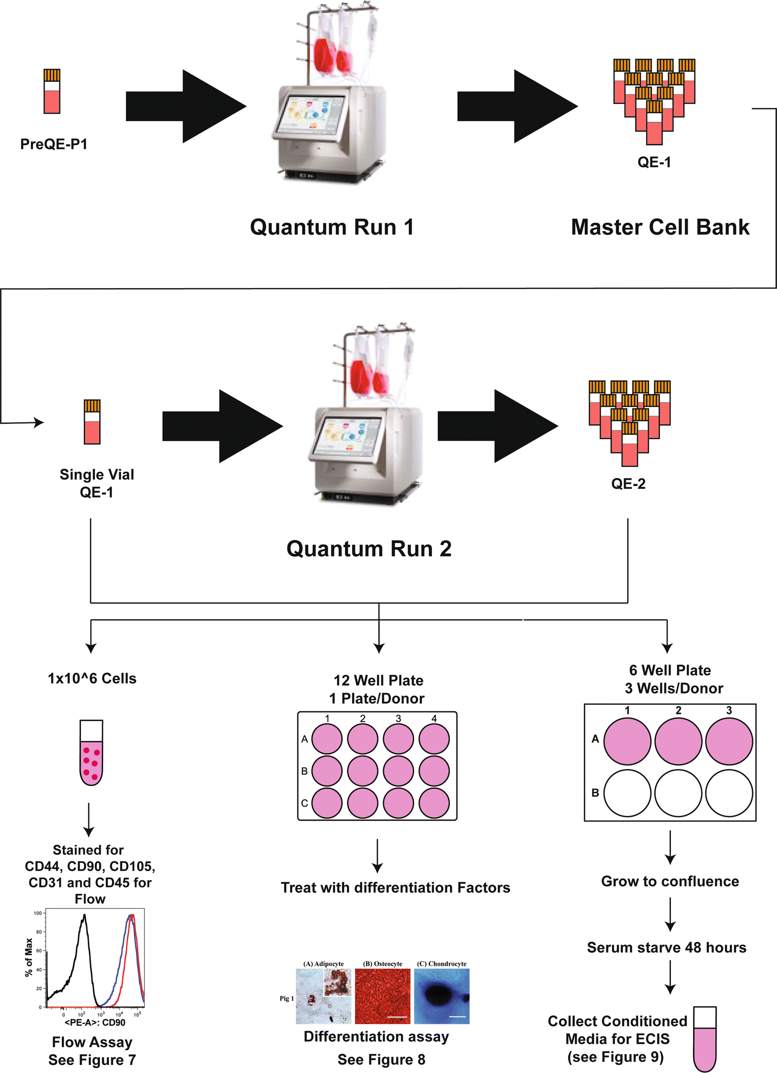 Fig. 2