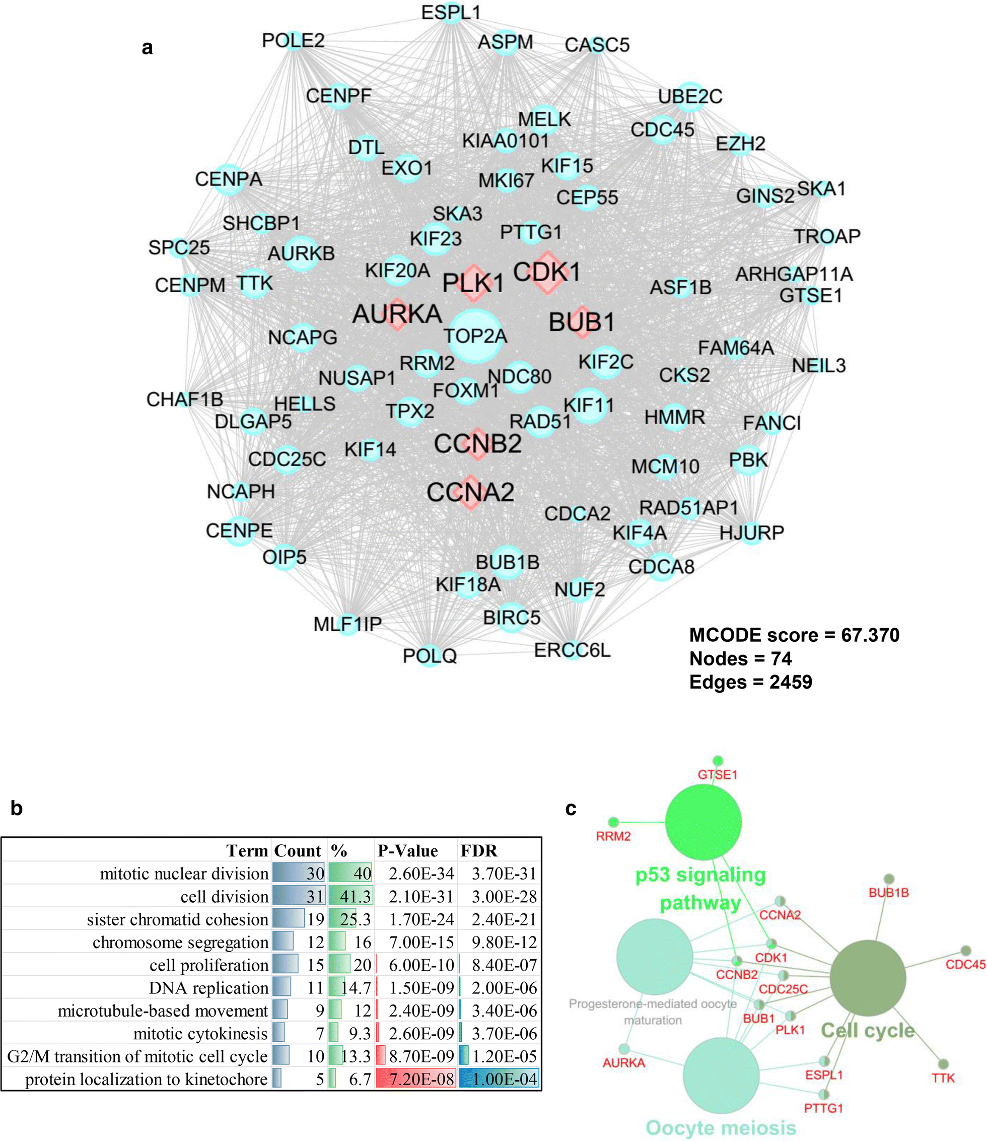 Fig. 4