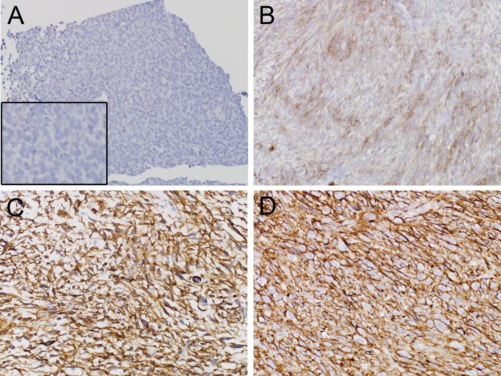 Fig. 3