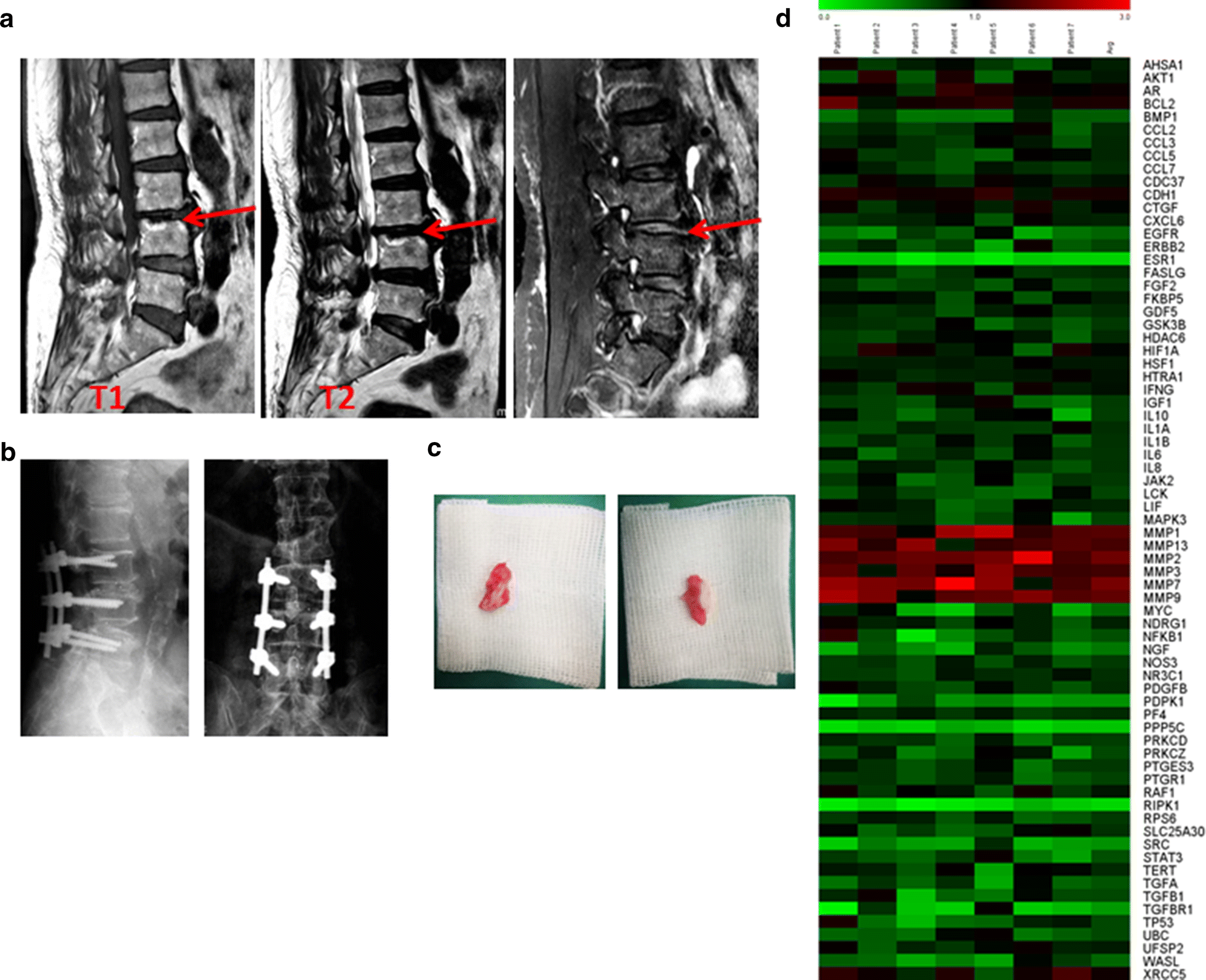 Fig. 2