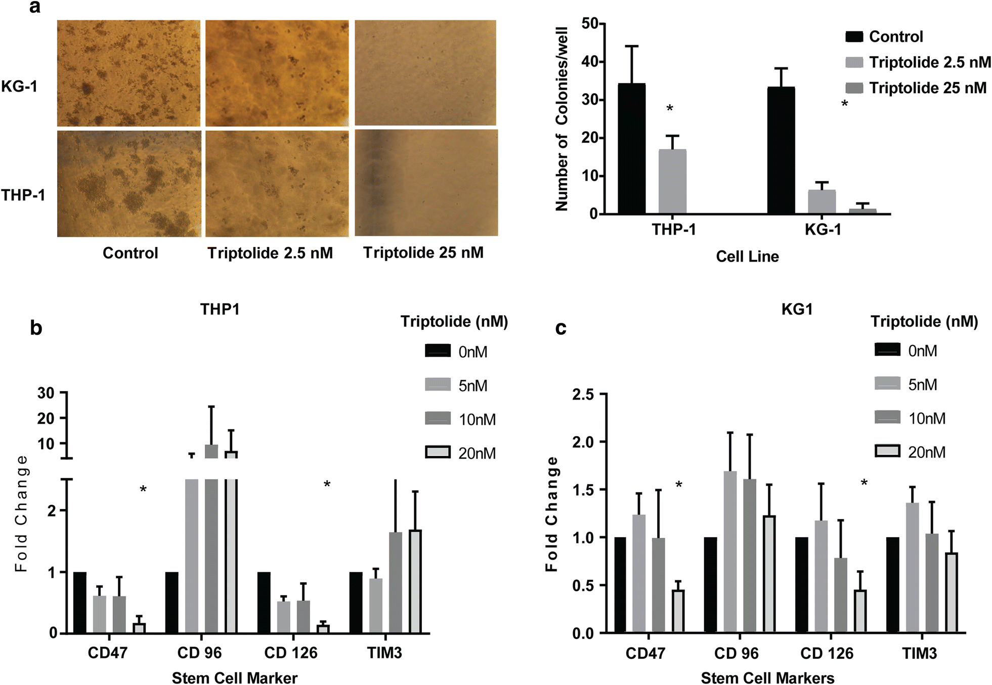 Fig. 3