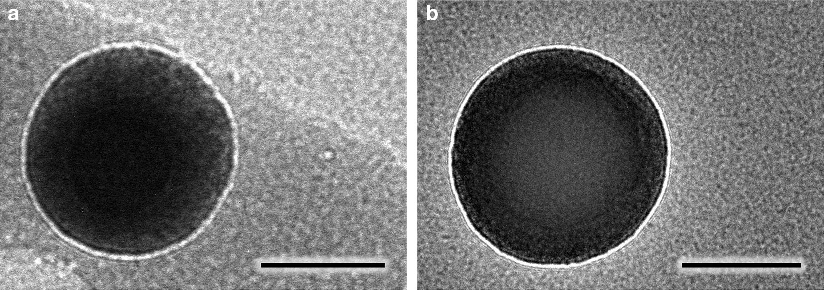 Fig. 3