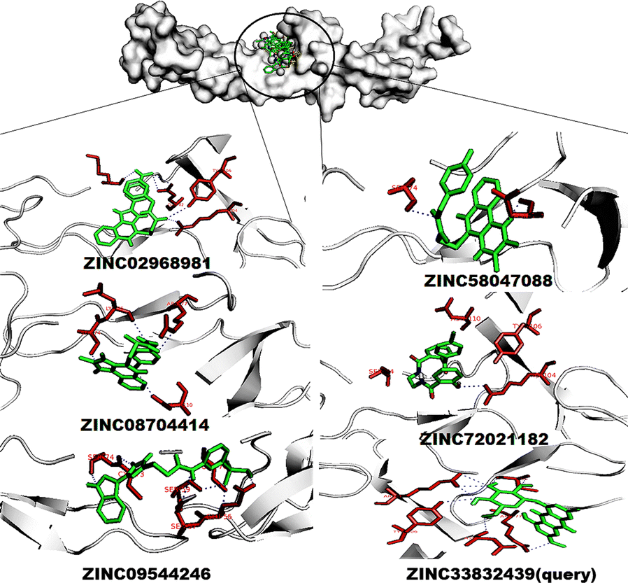 Fig. 5