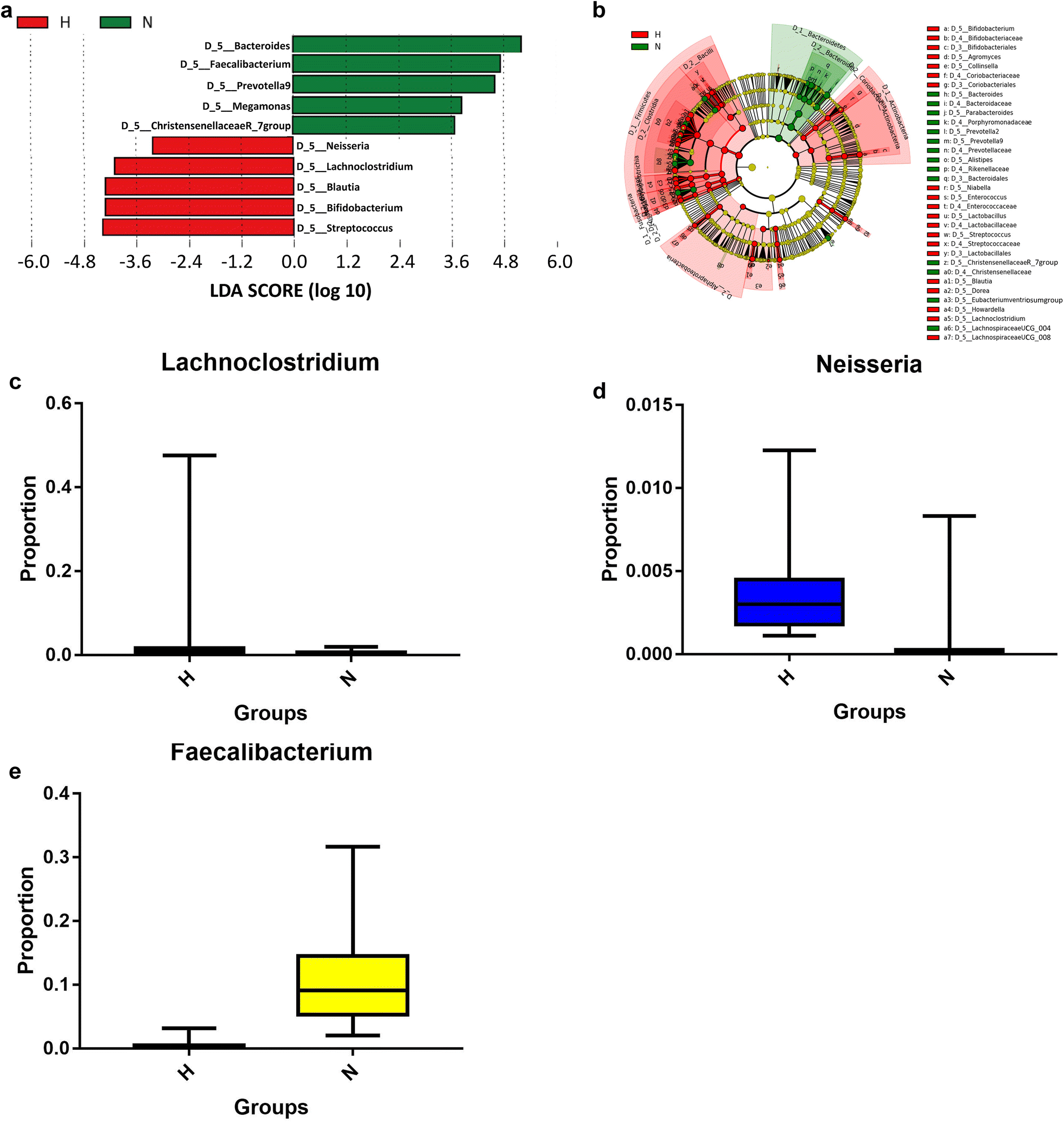 Fig. 5