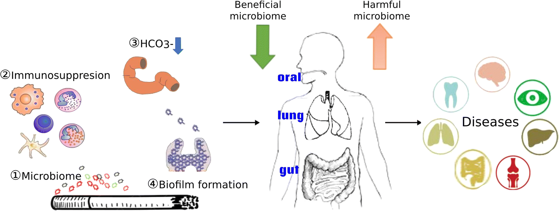 Fig. 1