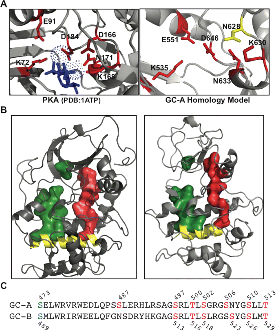 Fig. 1