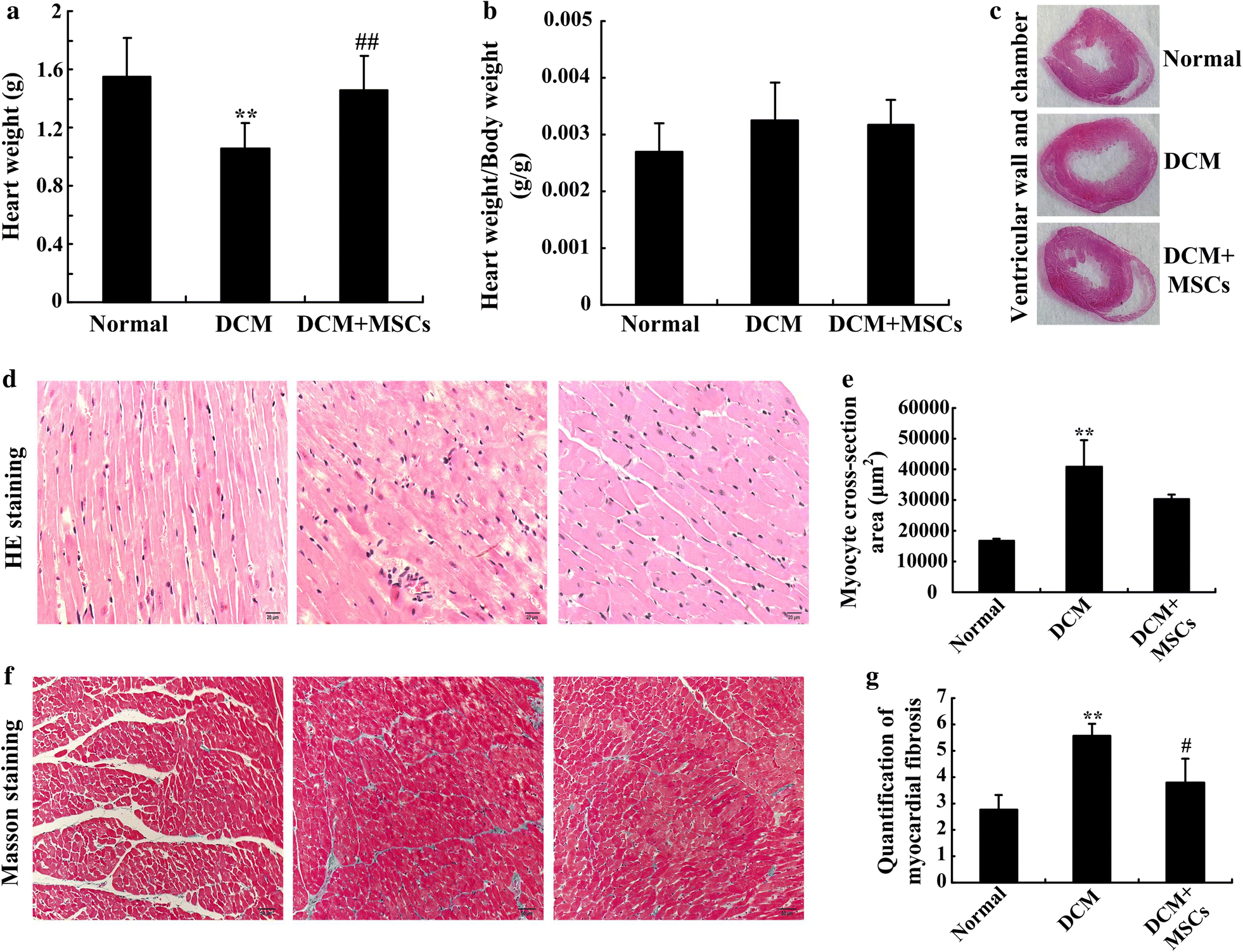 Fig. 4