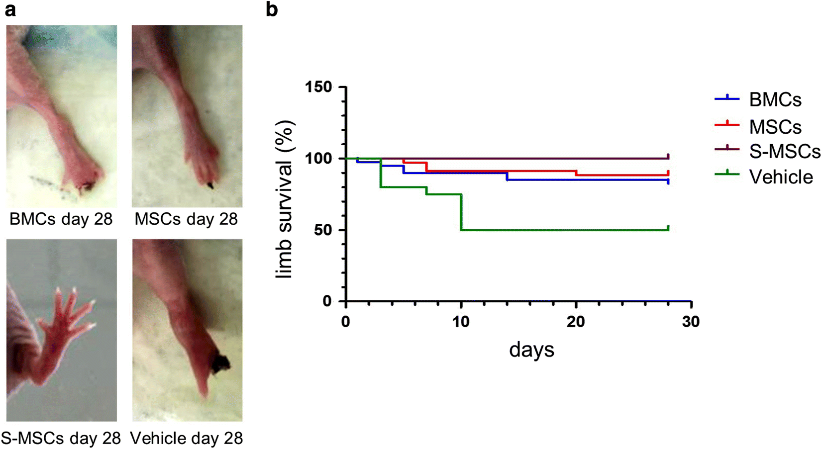 Fig. 6