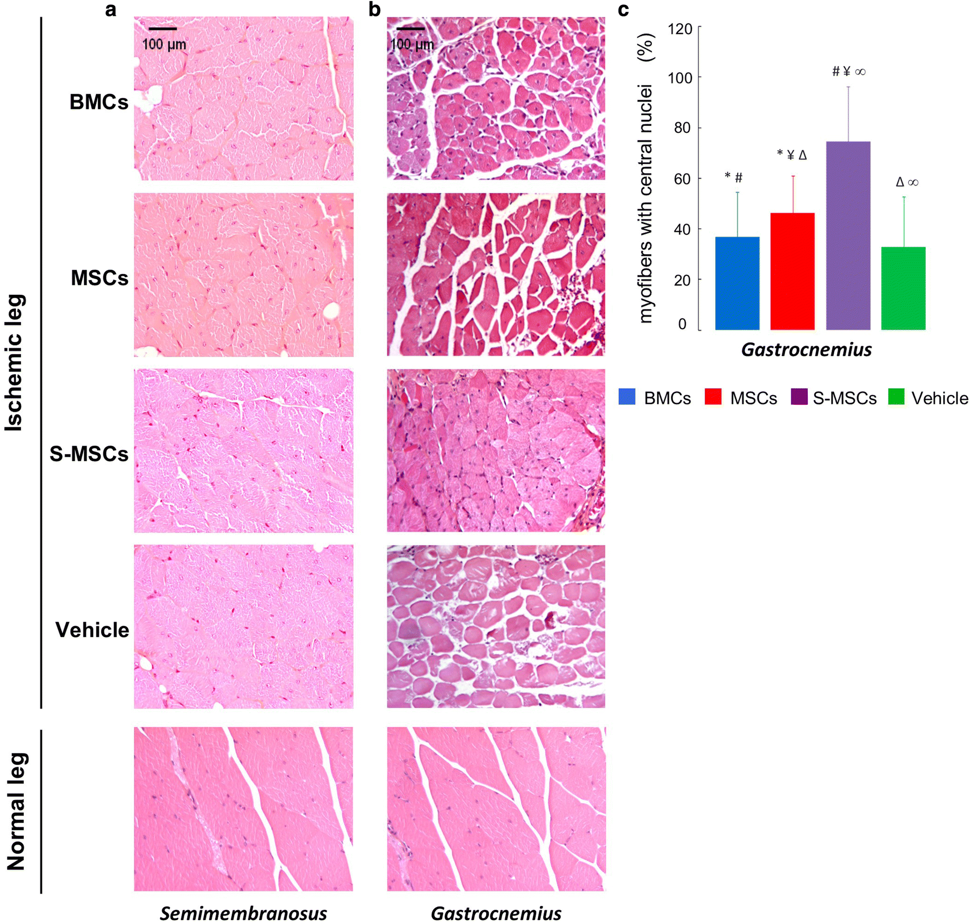 Fig. 9