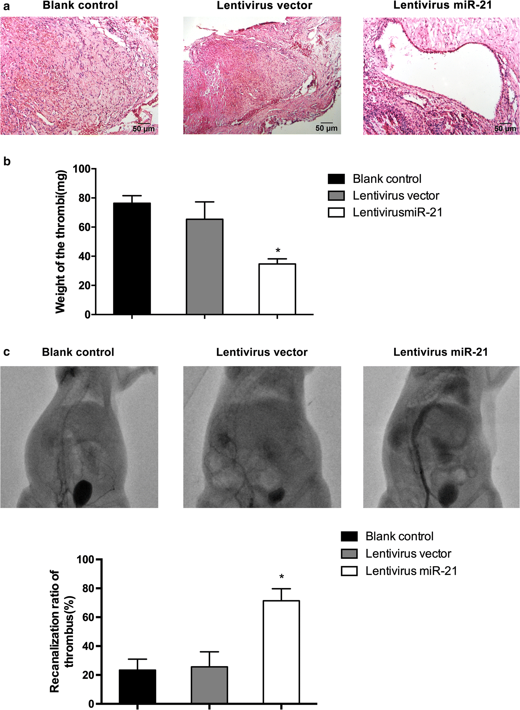 Fig. 5