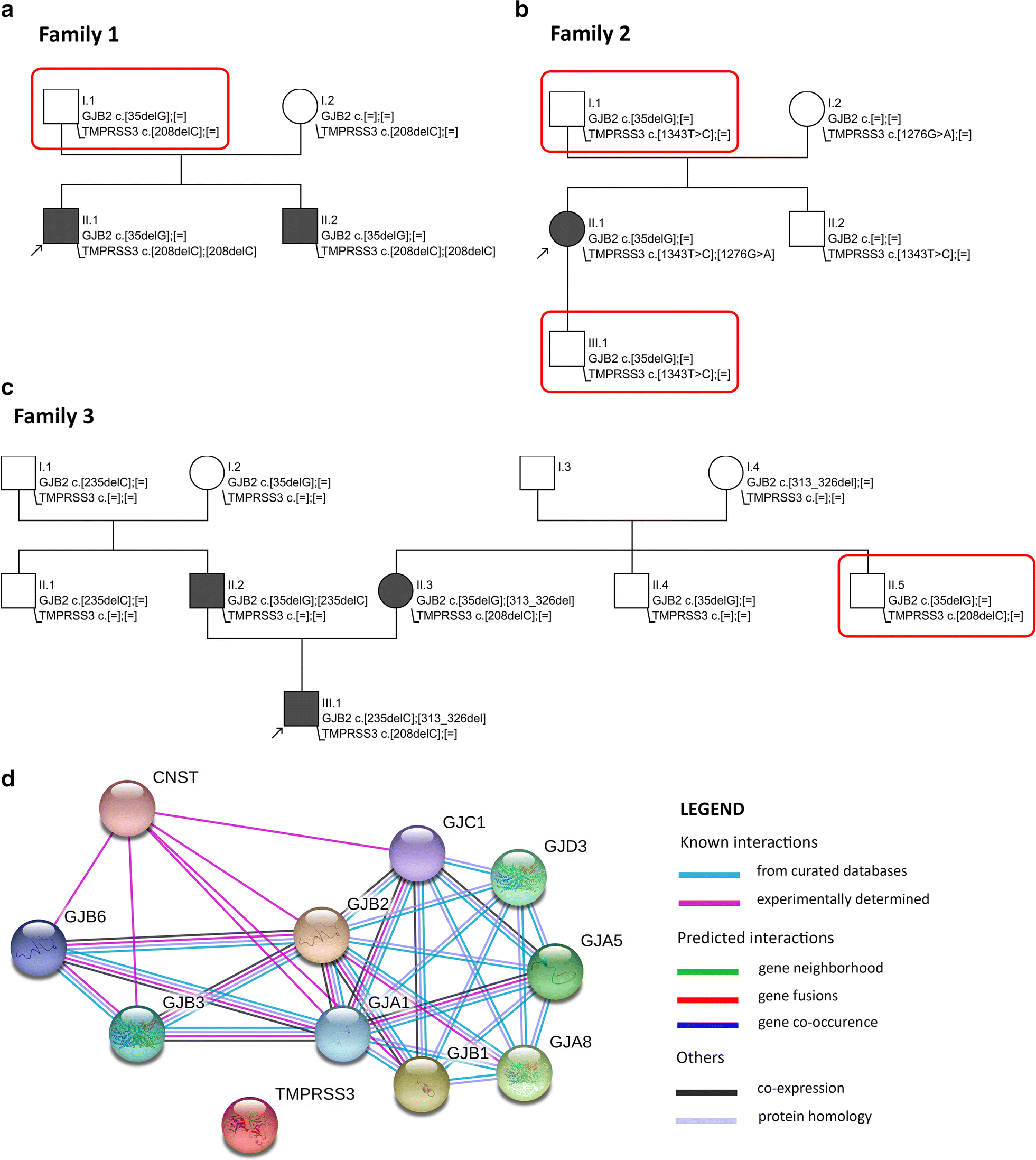 Fig. 1